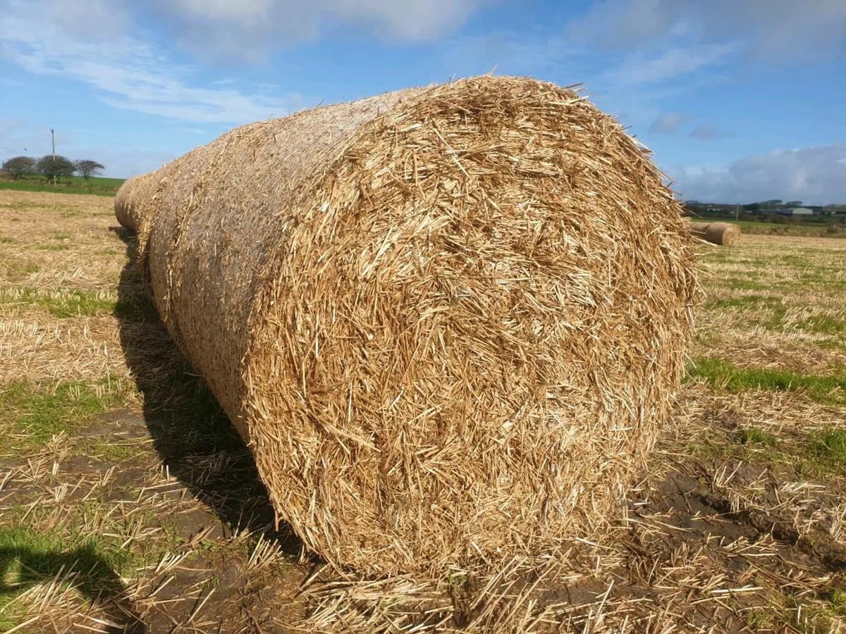 Hay quarry slate - Image 1