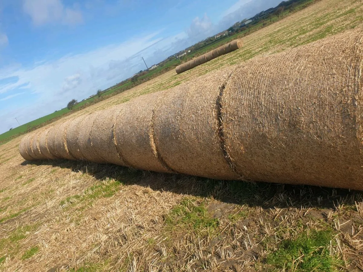 Hay quarry slate - Image 3