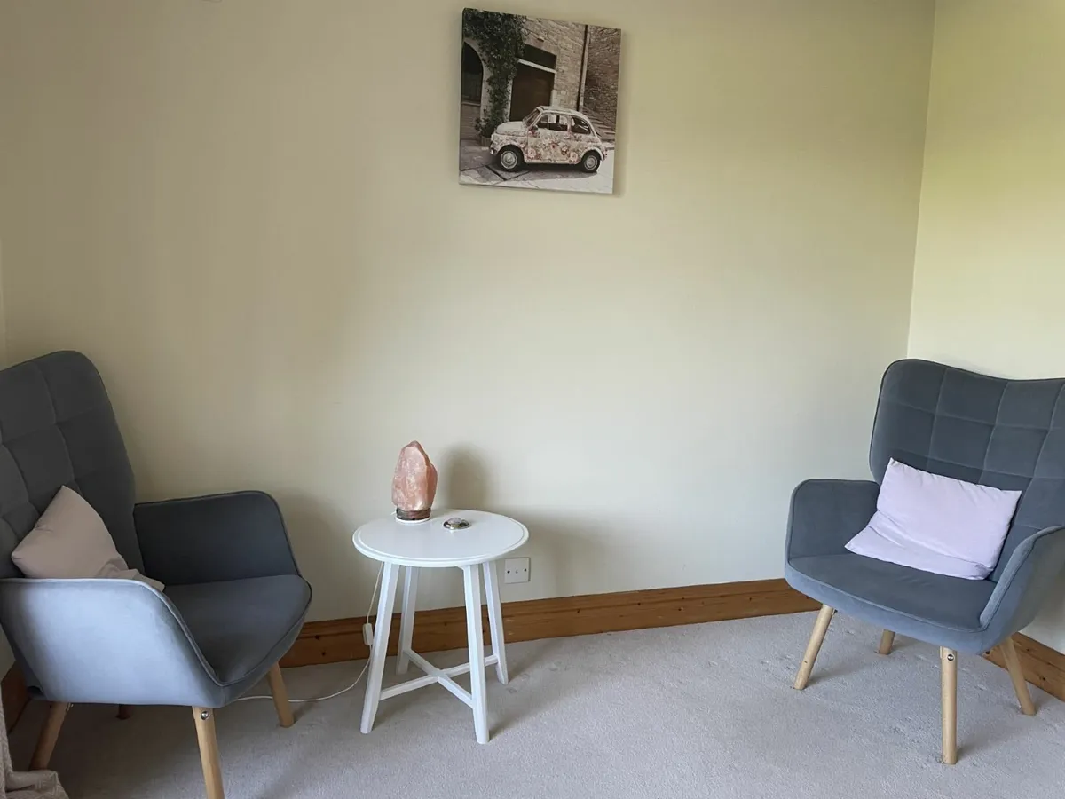 Grey armchairs - Image 1