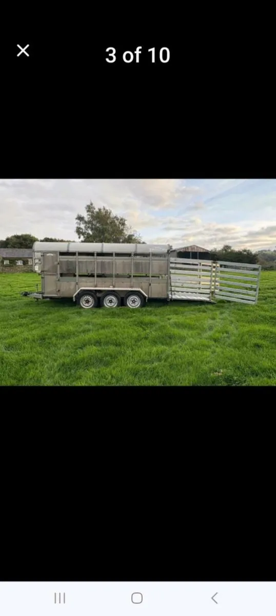 3 AXLE CATTLE/SHEEP TRAILER - Image 1