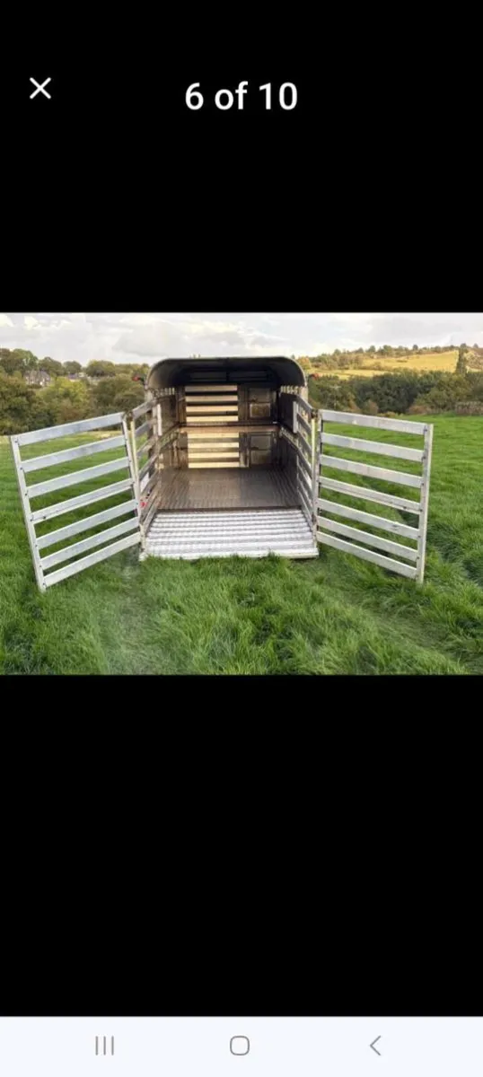 3 AXLE CATTLE/SHEEP TRAILER - Image 3