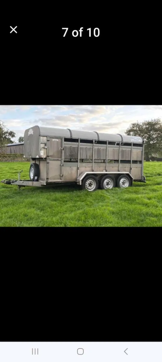 3 AXLE CATTLE/SHEEP TRAILER - Image 4