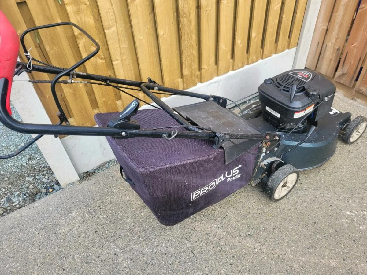 Lawnmower selfdrive - Image 3