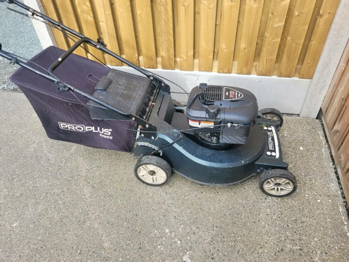 Lawnmower selfdrive - Image 1
