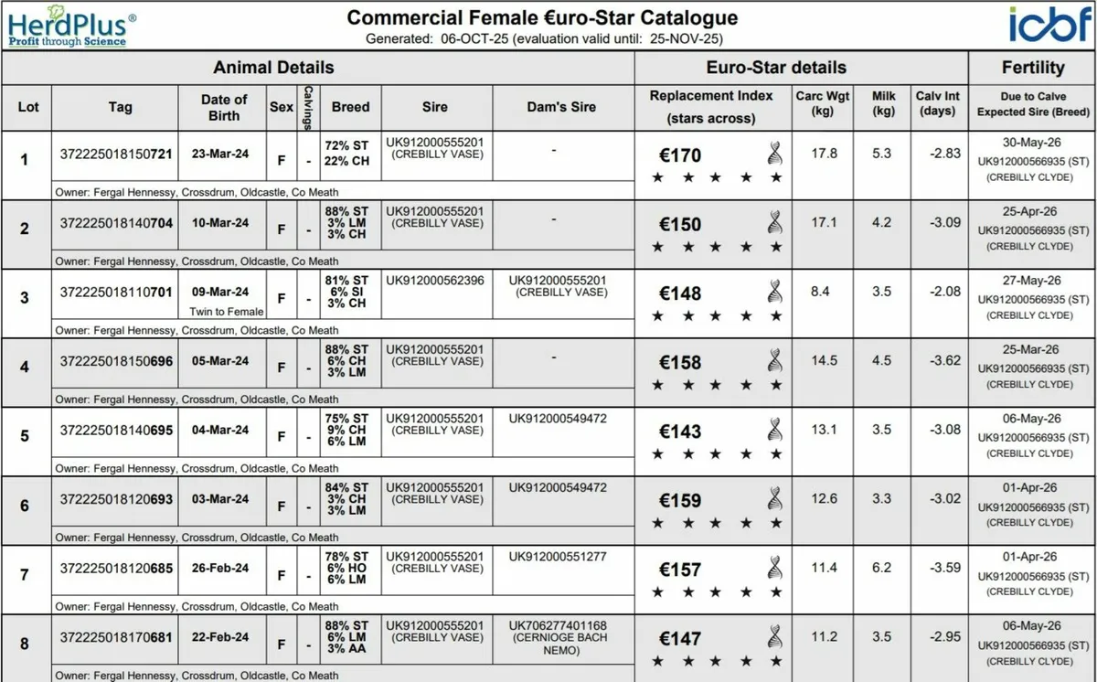In Calf Stabiliser X Heifers - Image 3
