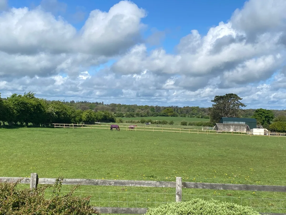 Small Livery yard with 2 stables available - Image 1