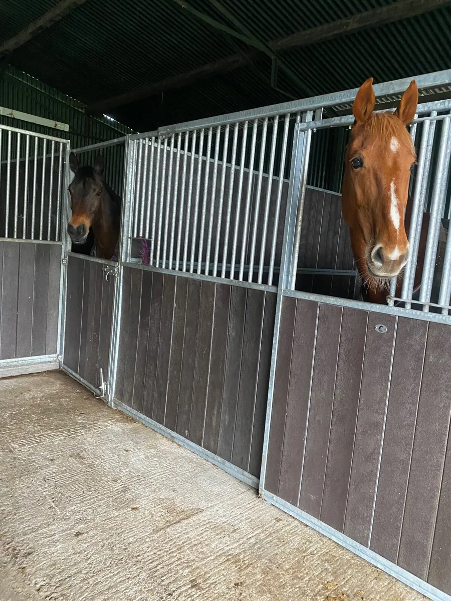 Small Livery yard with 2 stables available - Image 2