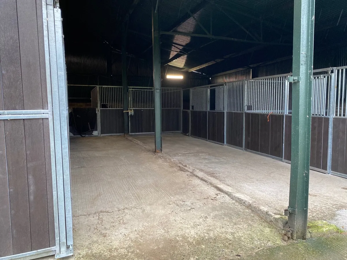 Small Livery yard with 2 stables available - Image 3