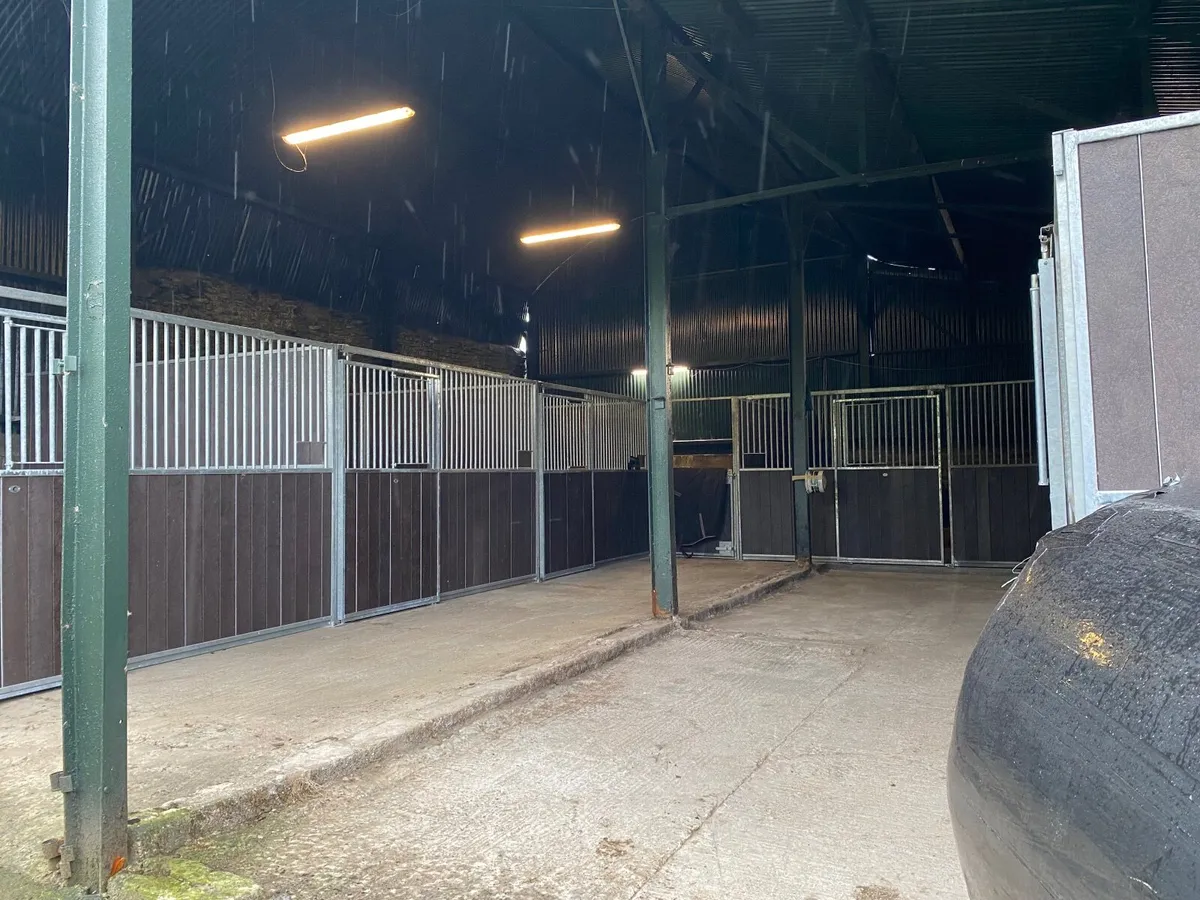 Small Livery yard with 2 stables available - Image 4