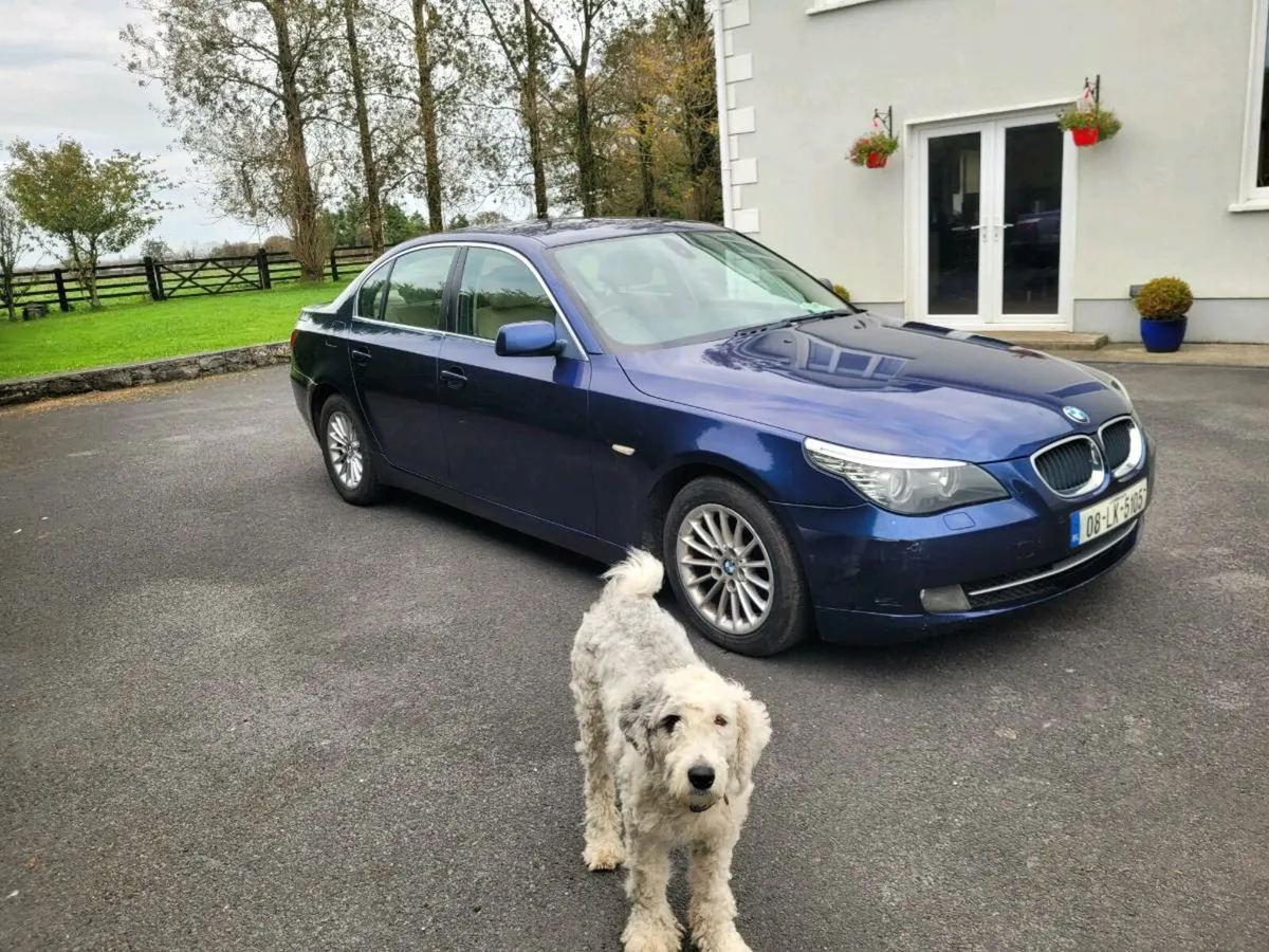 5 series BMW - Image 2