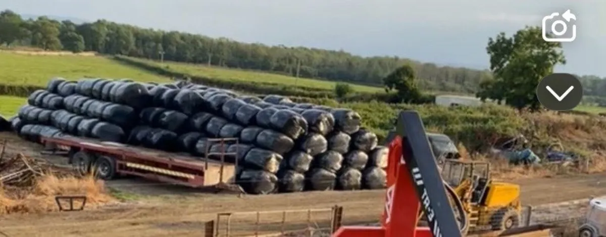 Silage bales - Image 1