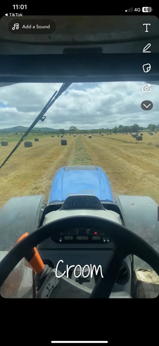 Silage bales - Image 2