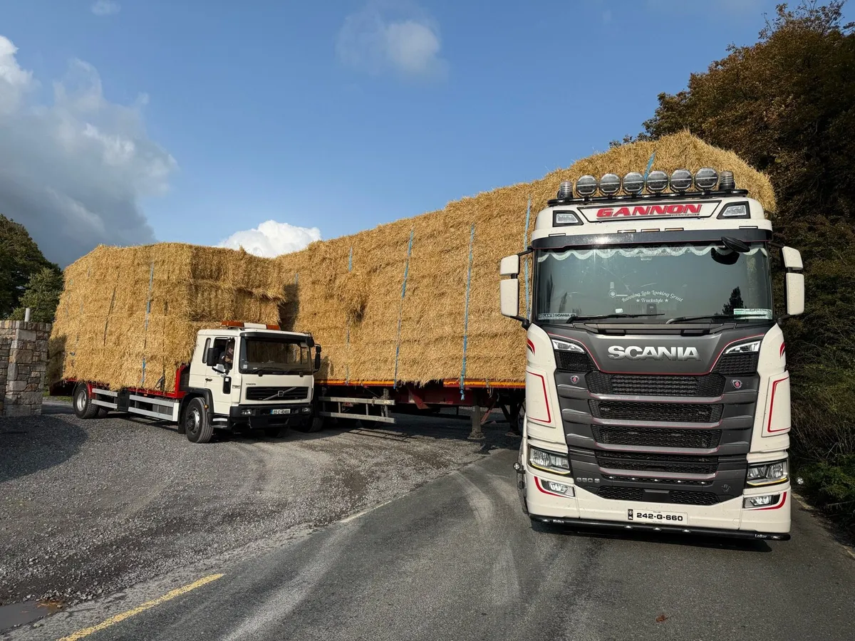 Barley and wheaten straw - Image 1