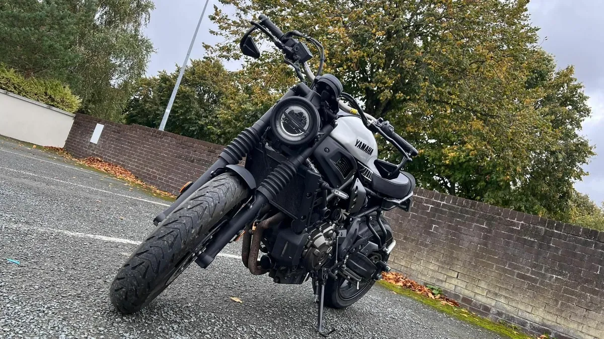 2024 Yamaha XSR700 – 1 Owner, Only 1,600 km - Image 1