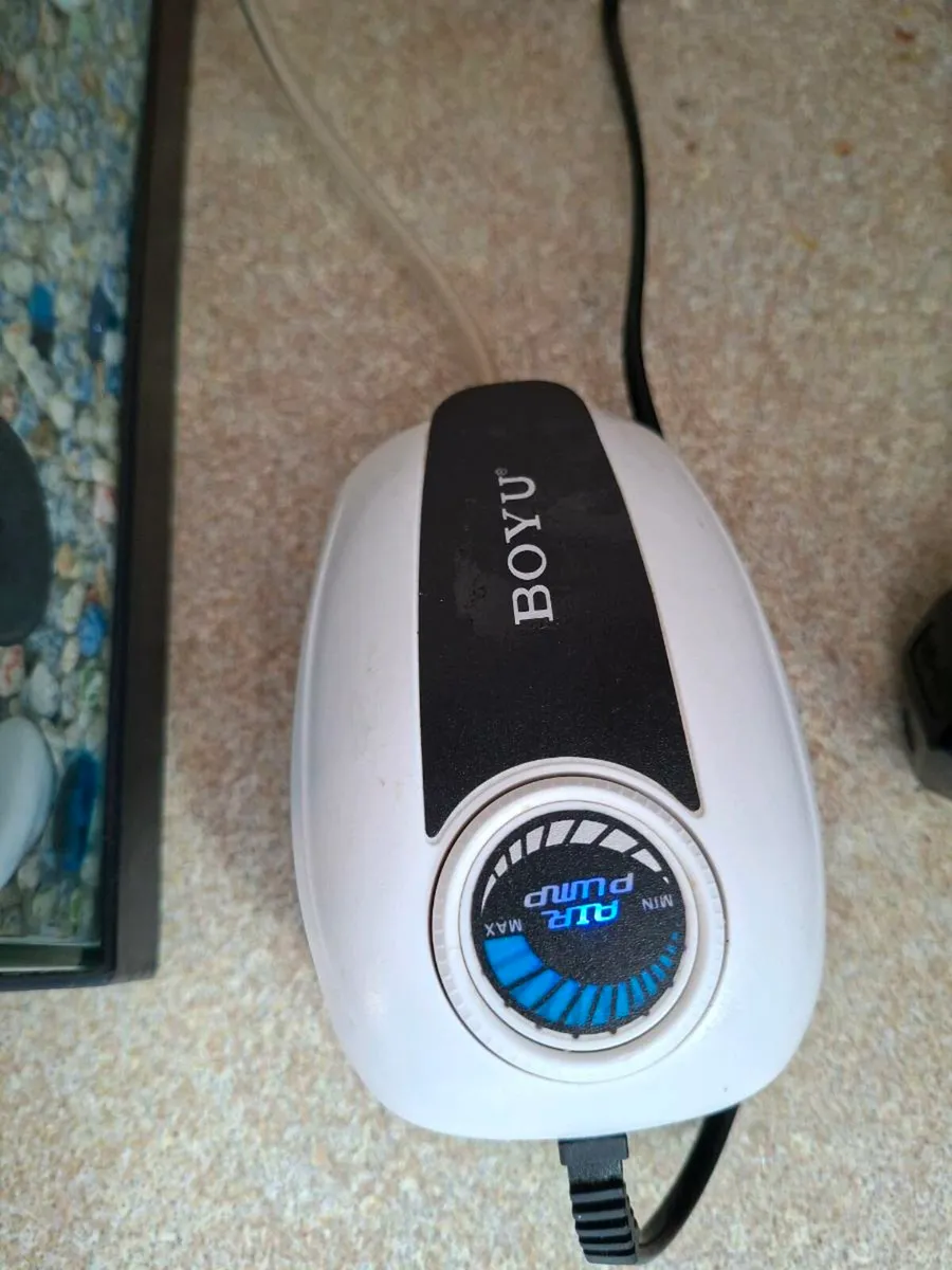 Fish Tank Setup for Sale – 3 Fish + Tank + Filters - Image 3