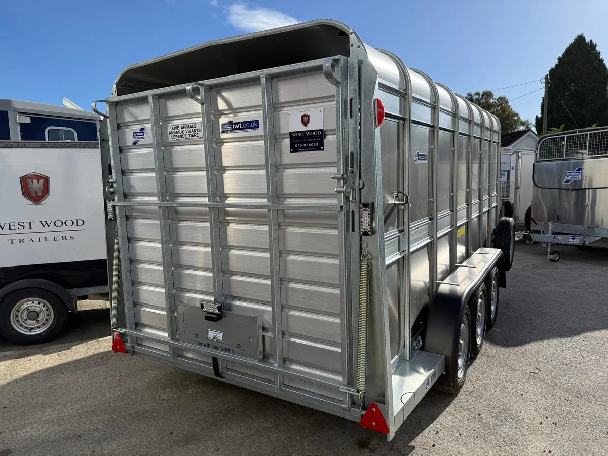 Damaged Ref T0540 TA510 14' x 5'10'' Ifor William - Image 3