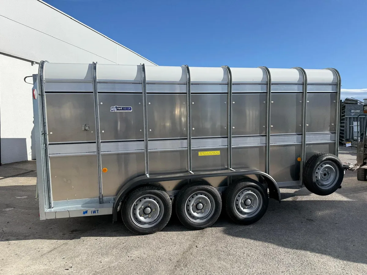 Damaged Ref T0540 TA510 14' x 5'10'' Ifor William - Image 4
