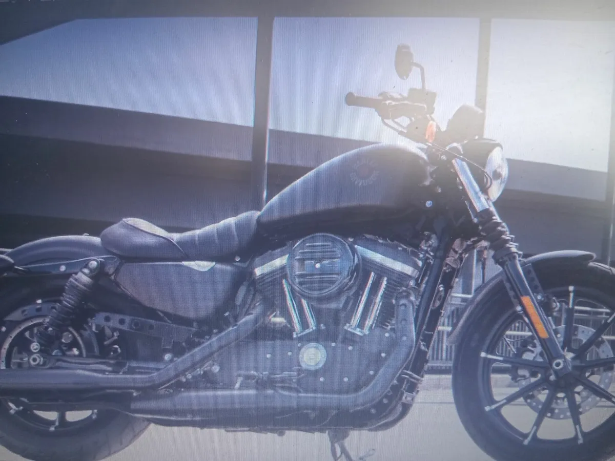 Harley Davidson 883 wanted or Cruiser - Image 2