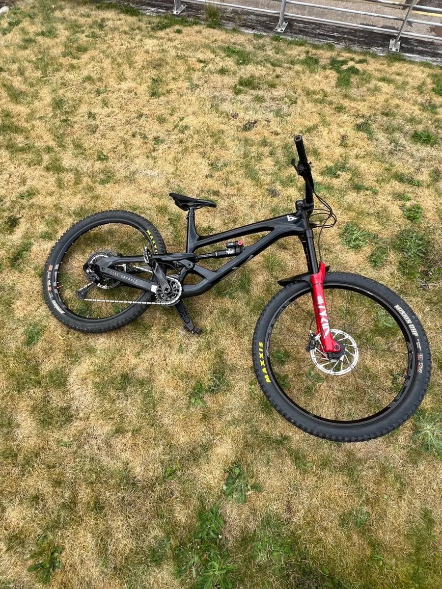 YT Capra - Image 3