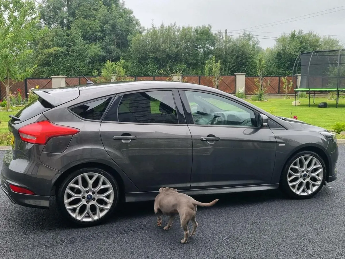 2017 st-line focus - Image 2