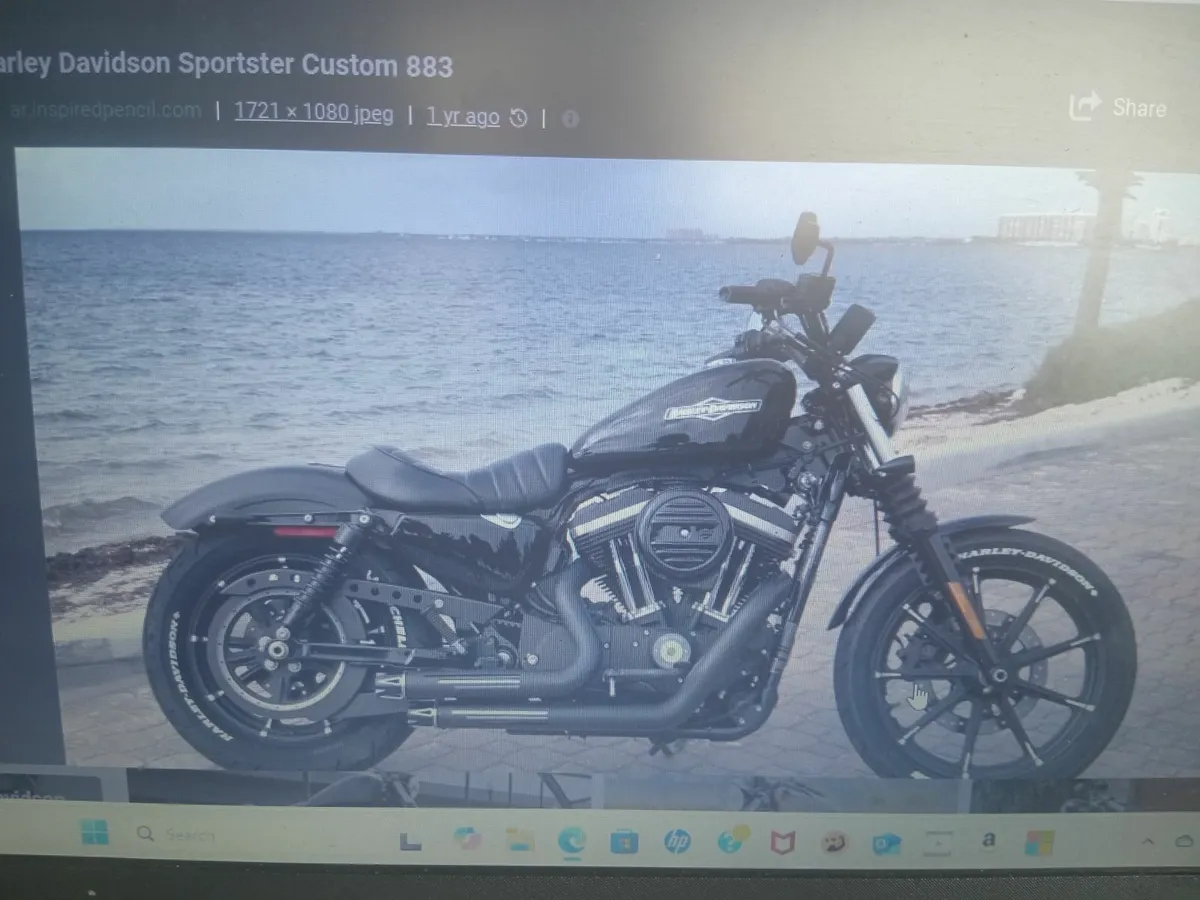 Harley Davidson 883 wanted or Cruiser - Image 1