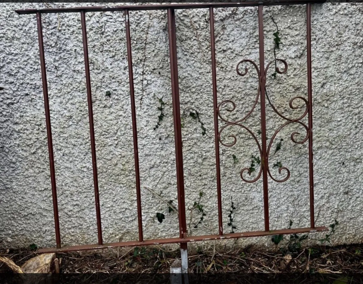 Galvanised Entrance Gates plus Railings - Image 3