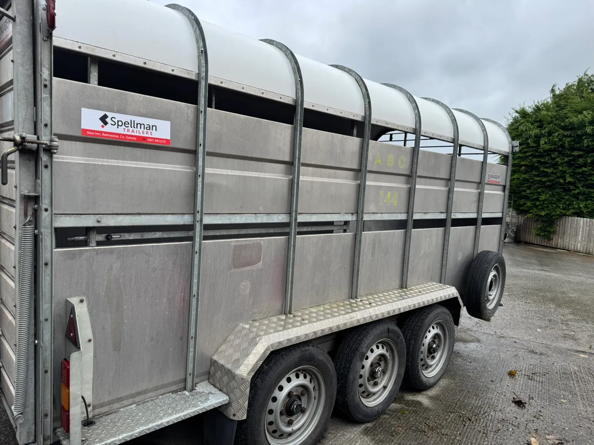 Nugent livestock trailer - Image 4