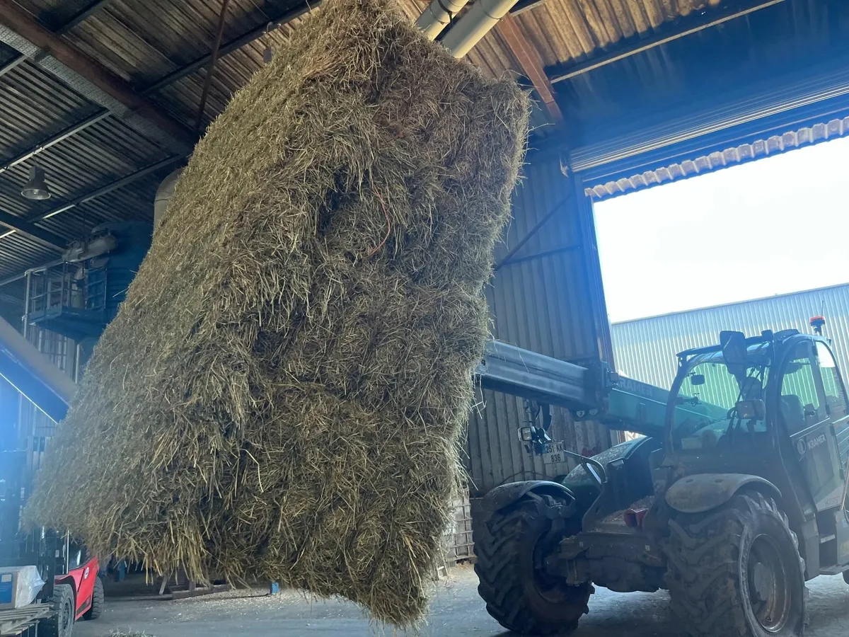Hay