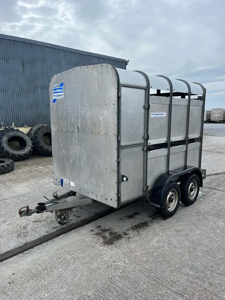 Ifor Williams Livestock Trailer - Image 2