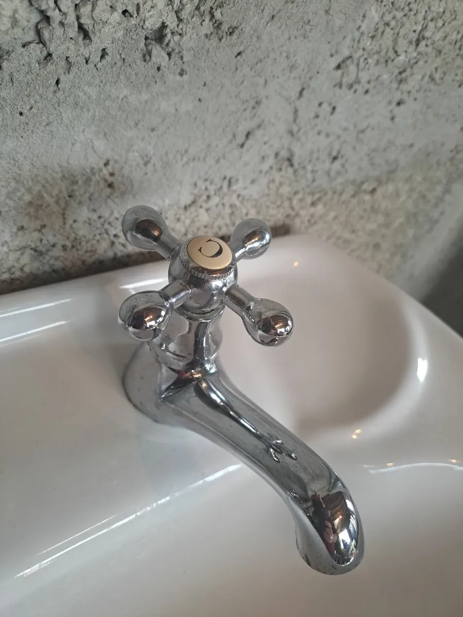 Shower door and handbasin - Image 1