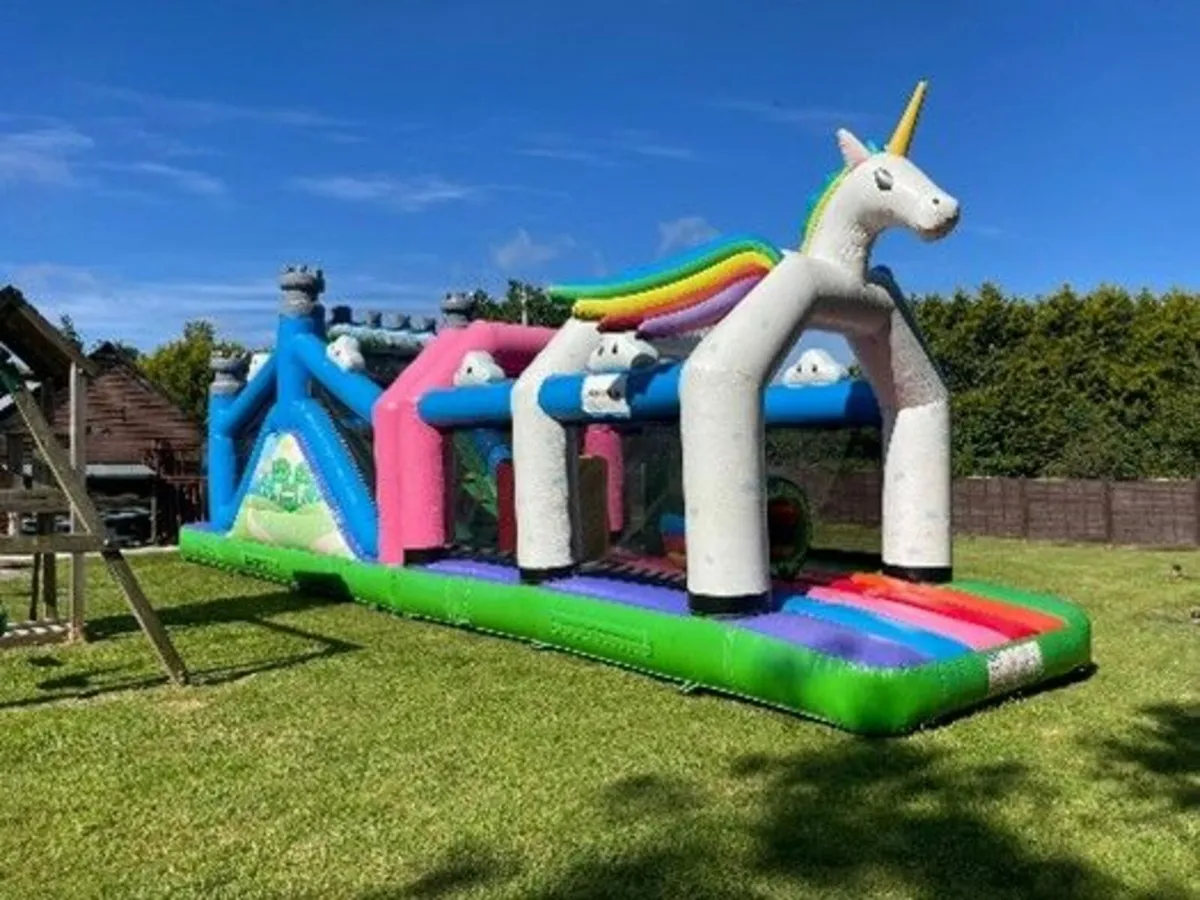 Bouncy Castle Auction - Image 3