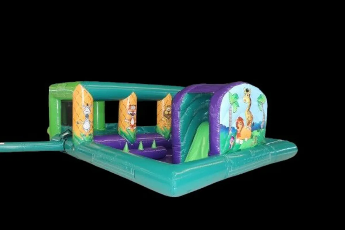 Bouncy Castle Auction - Image 4