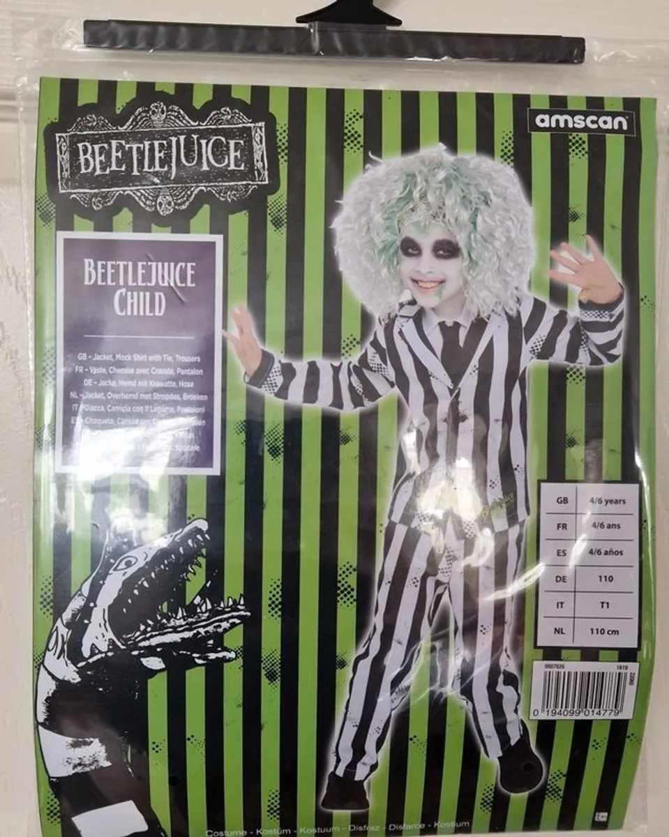 Beetlejuice Costume age 4-6 including Wig - Image 1