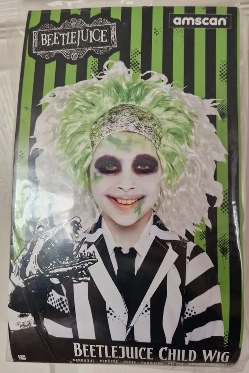 Beetlejuice Costume age 4-6 including Wig - Image 2