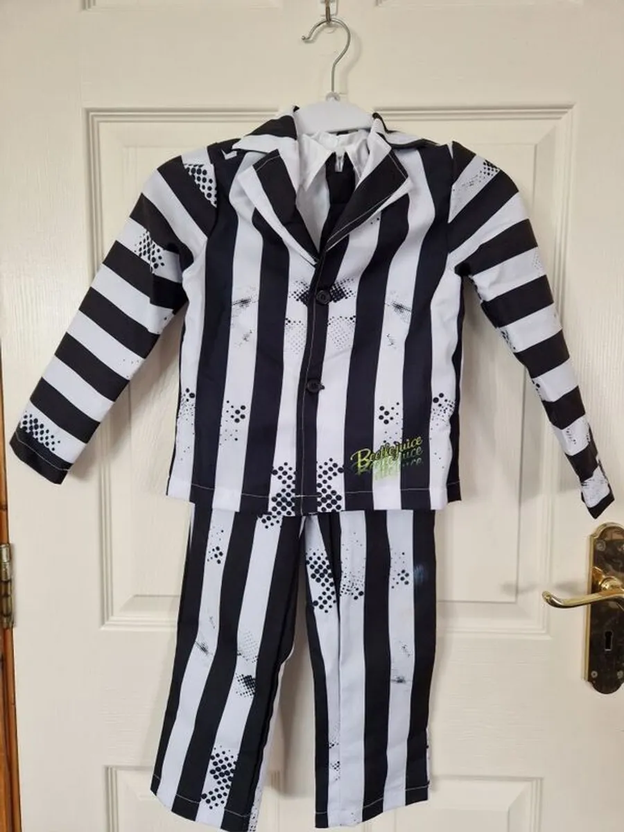 Beetlejuice Costume age 4-6 including Wig - Image 4