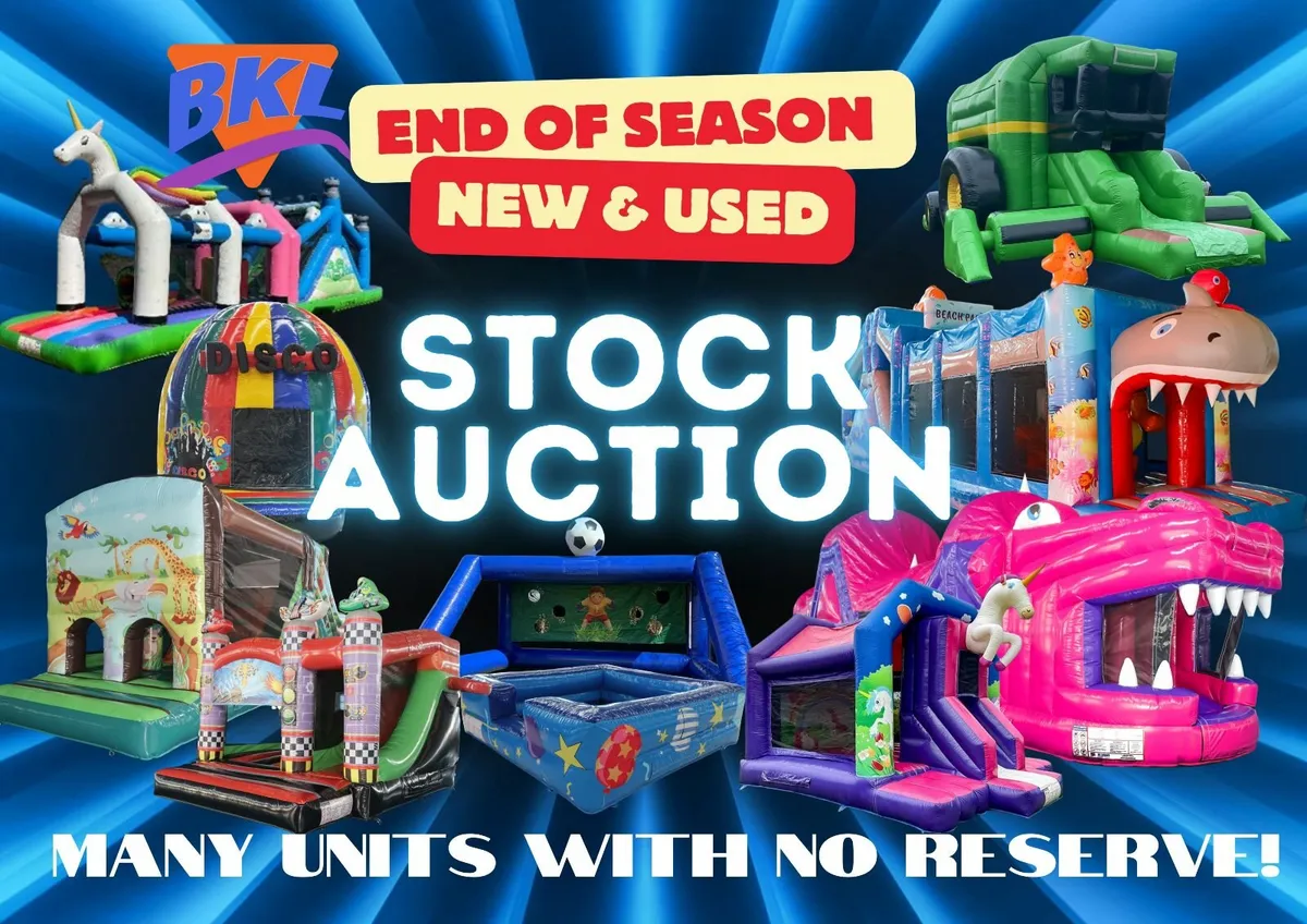 Bouncy Castle Auction - Image 1