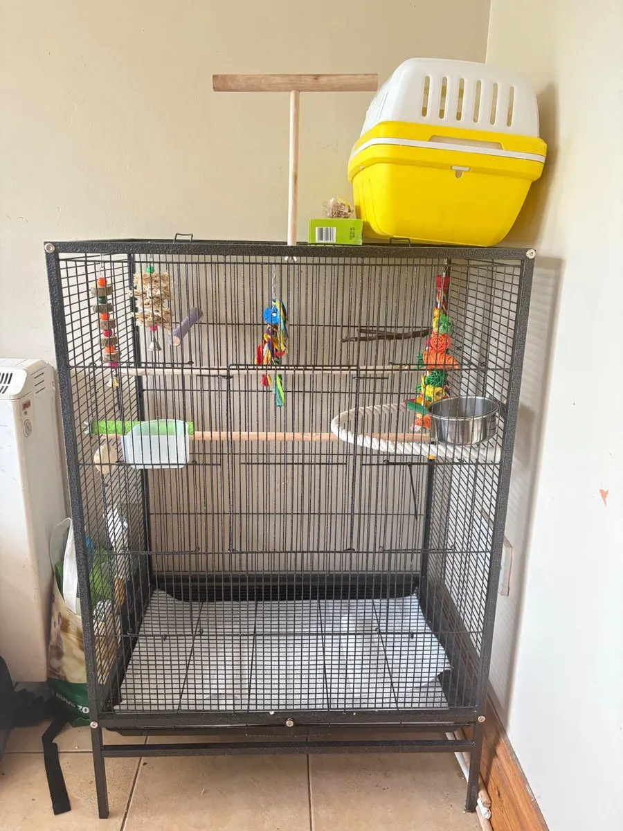 Bird accessories - Image 1