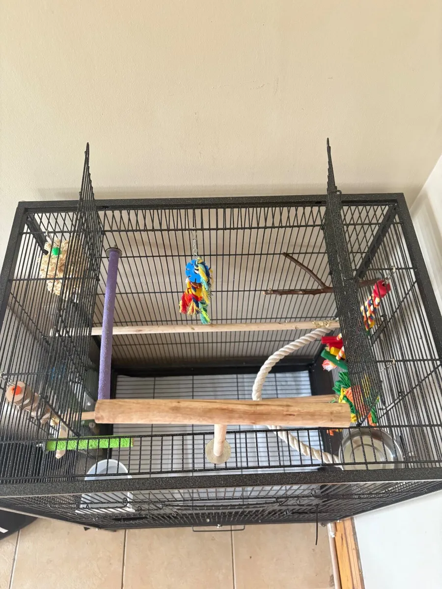 Bird accessories - Image 2