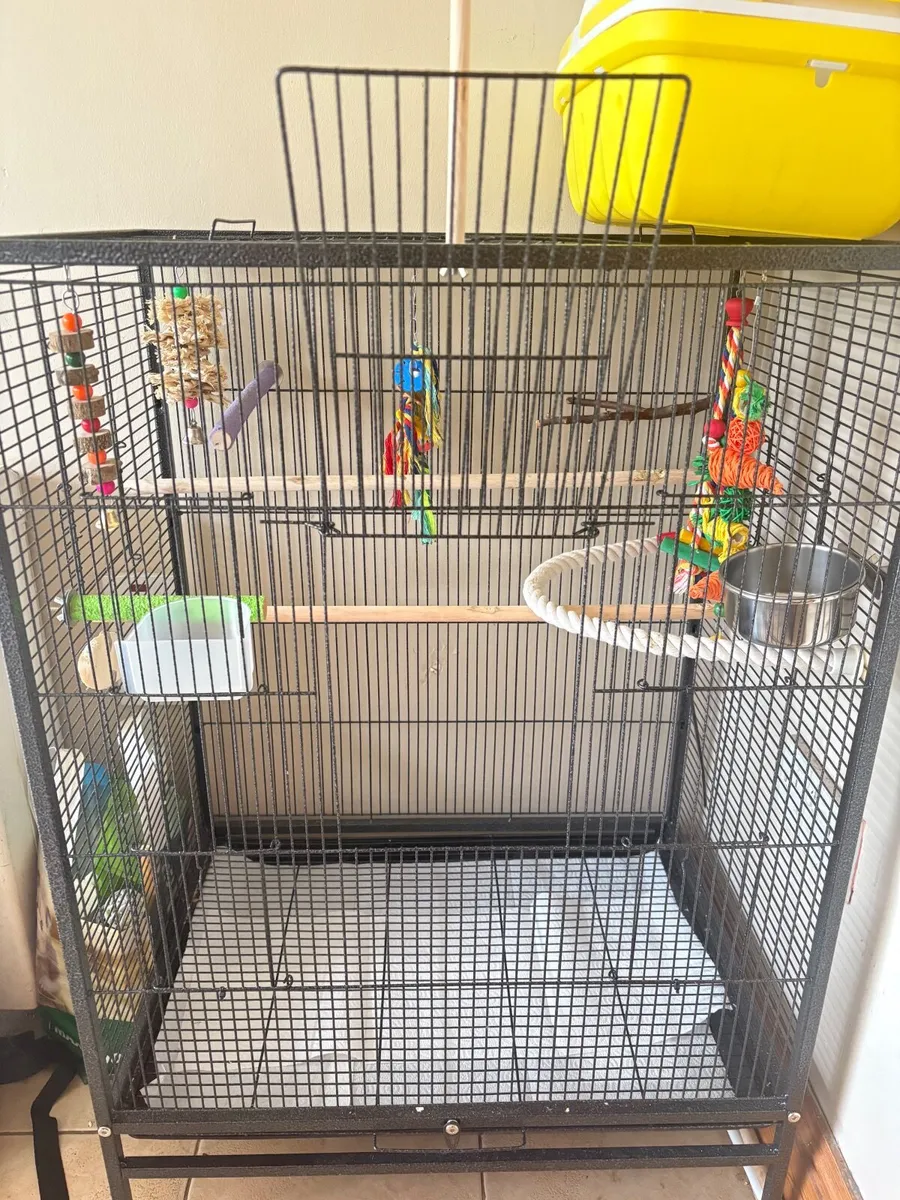 Bird accessories - Image 3