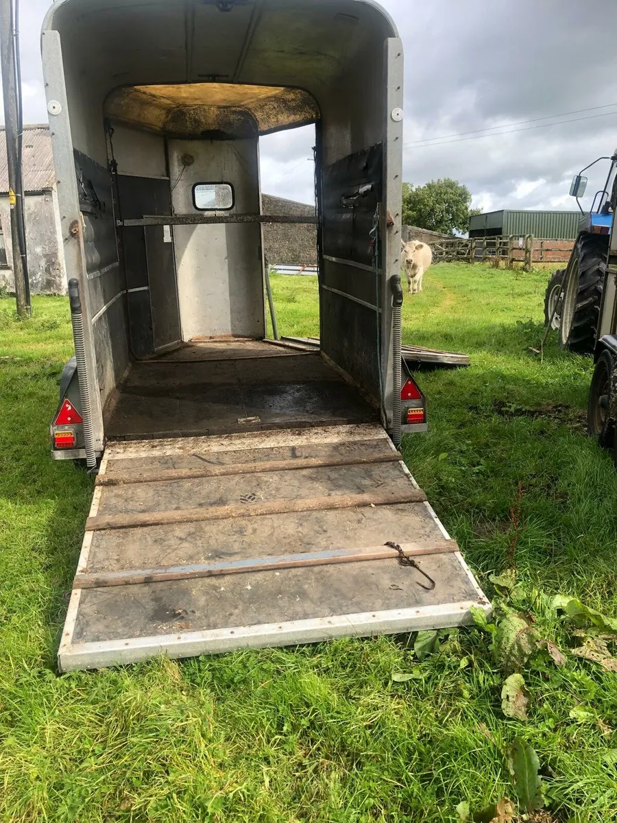 Horse box - Image 3