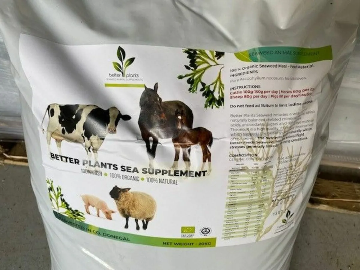 Seaweed Supplements - Image 1