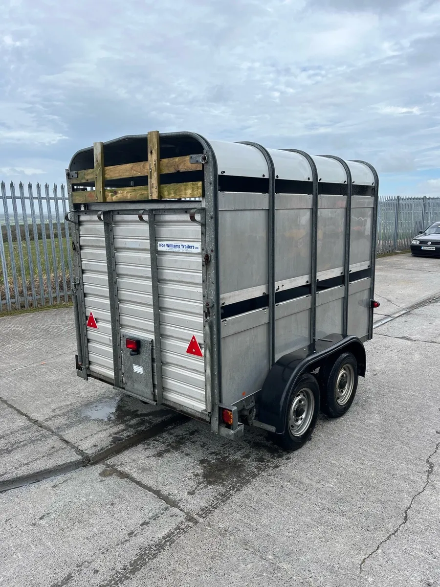 Ifor Williams Livestock Trailer - Image 3