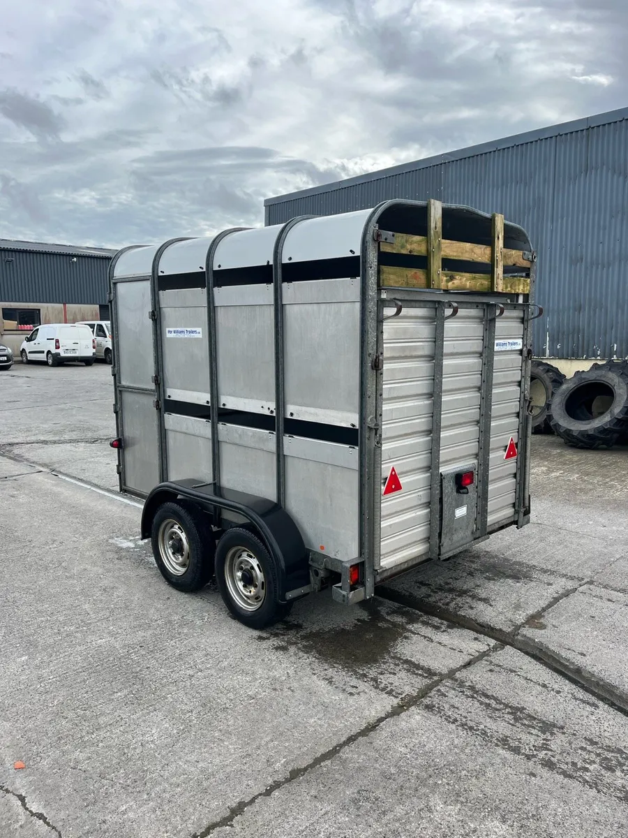 Ifor Williams Livestock Trailer - Image 4
