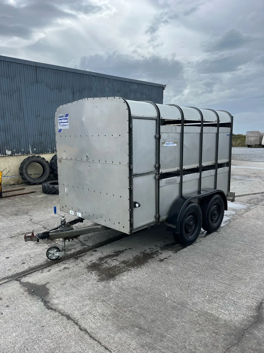 Ifor Williams Livestock Trailer - Image 1