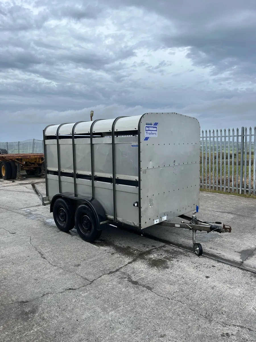 Ifor Williams Livestock Trailer - Image 2