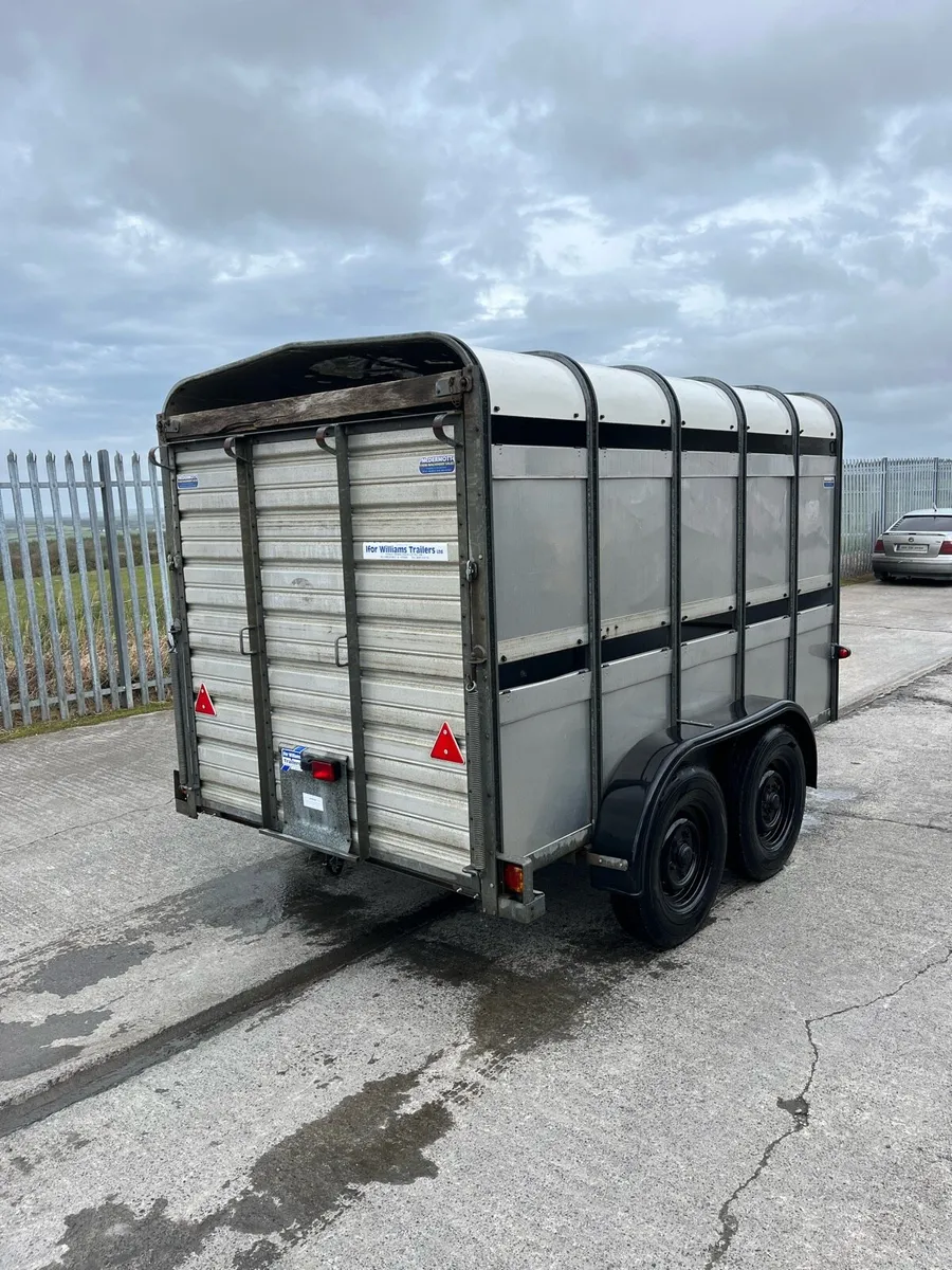 Ifor Williams Livestock Trailer - Image 3