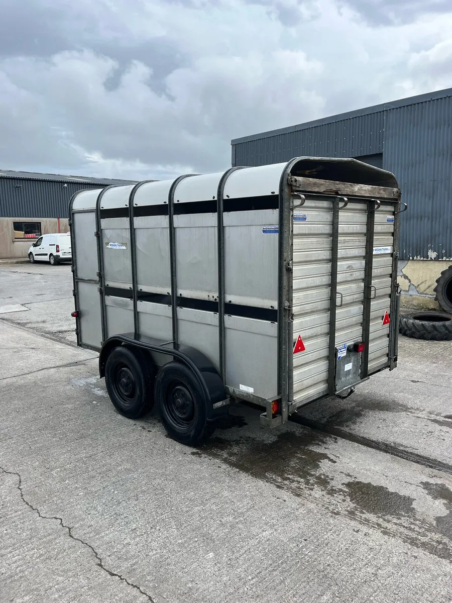 Ifor Williams Livestock Trailer - Image 4