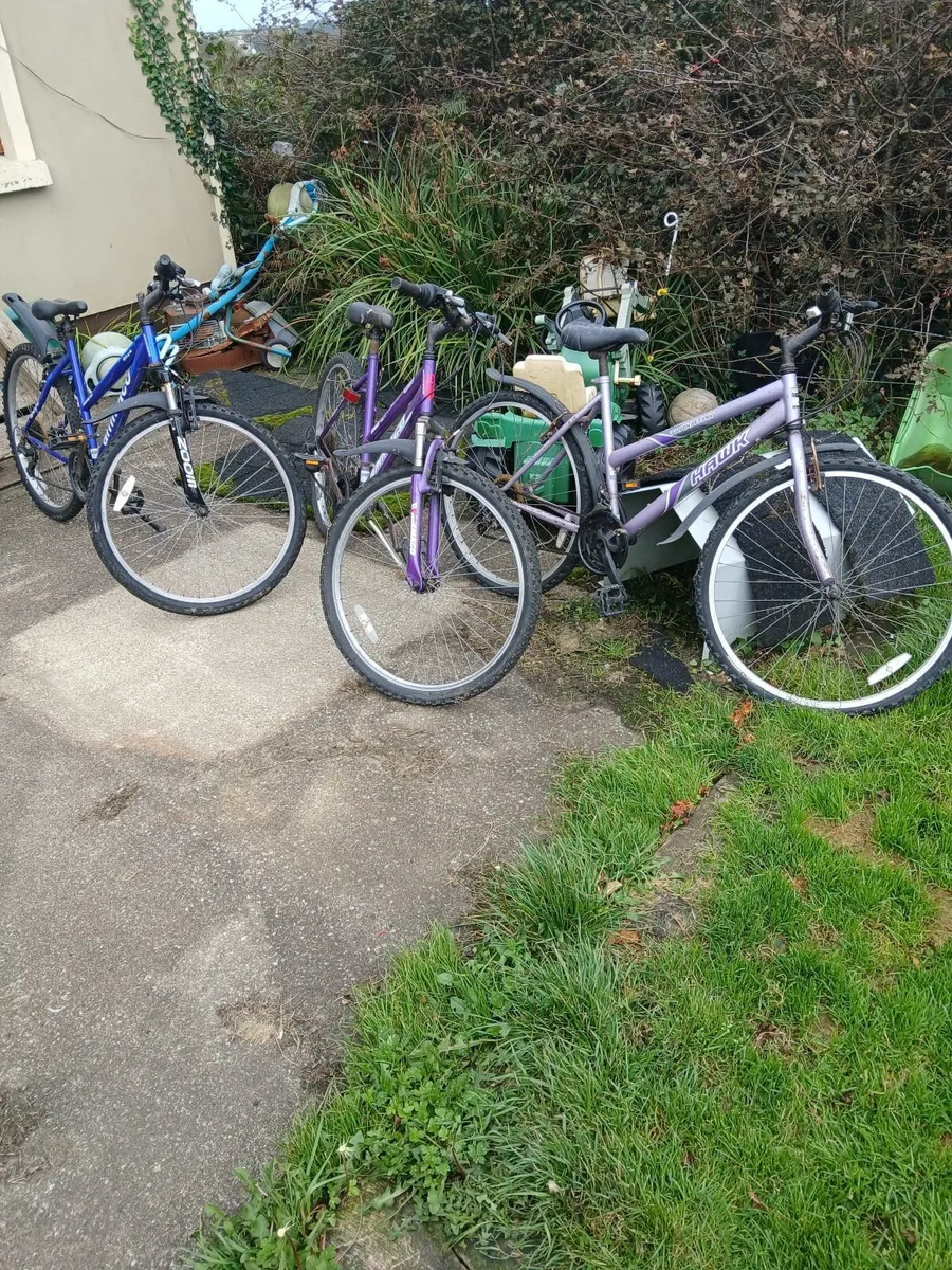 Bicycles go cart - Image 2