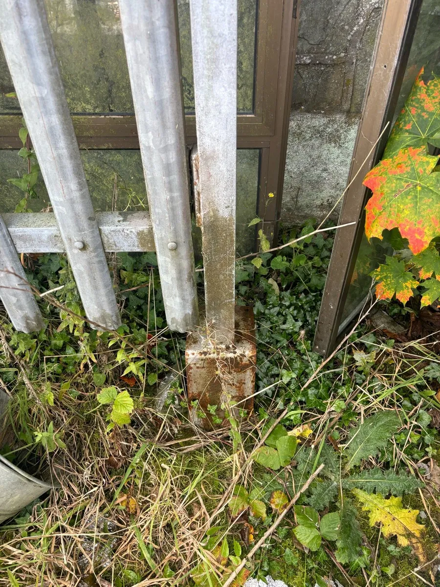 Palisade fencing - Image 1