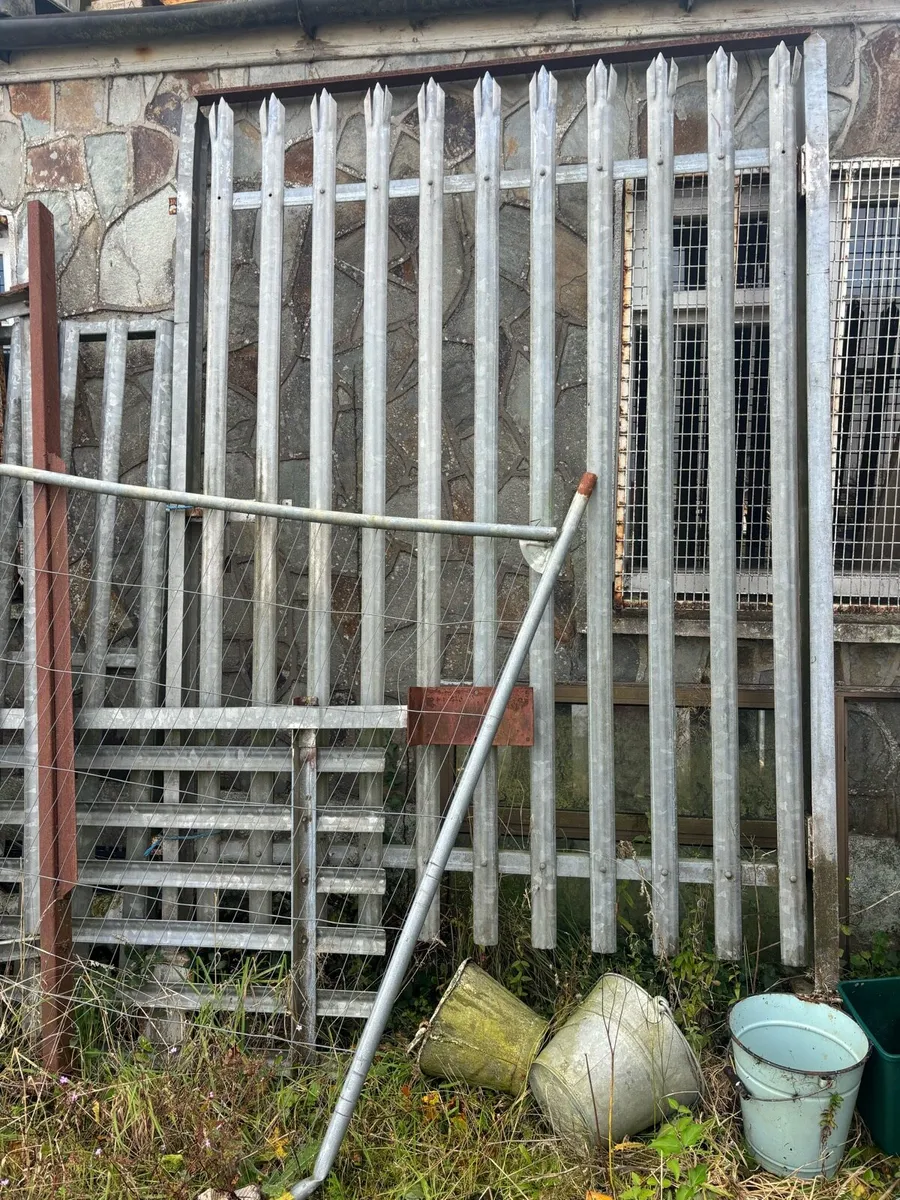 Palisade fencing - Image 4